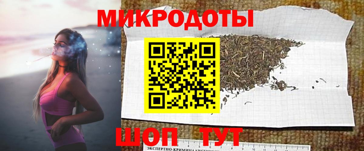 Псилоцибиновые грибы Psilocybe Кубинка