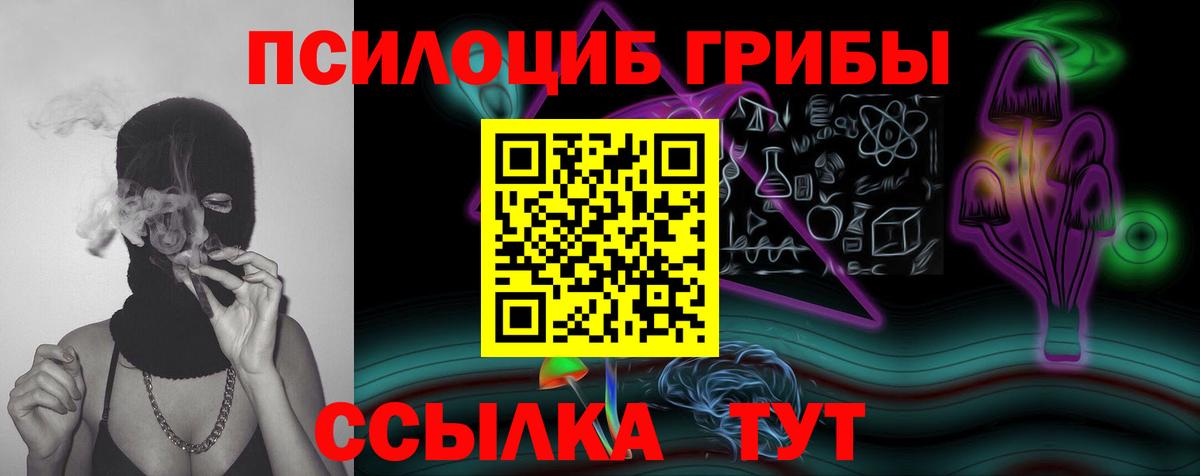 Псилоцибиновые грибы Psilocybe  Вход с VPN  хочу   Кубинка 